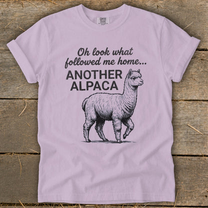 Light purple t-shirt with a drawing of an alpaca and text "Oh look what followed me home... ANOTHER ALPACA."