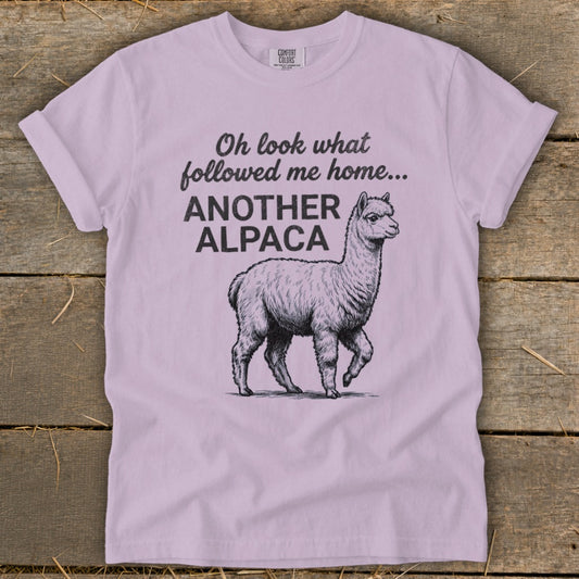 Light purple t-shirt with a drawing of an alpaca and text "Oh look what followed me home... ANOTHER ALPACA."