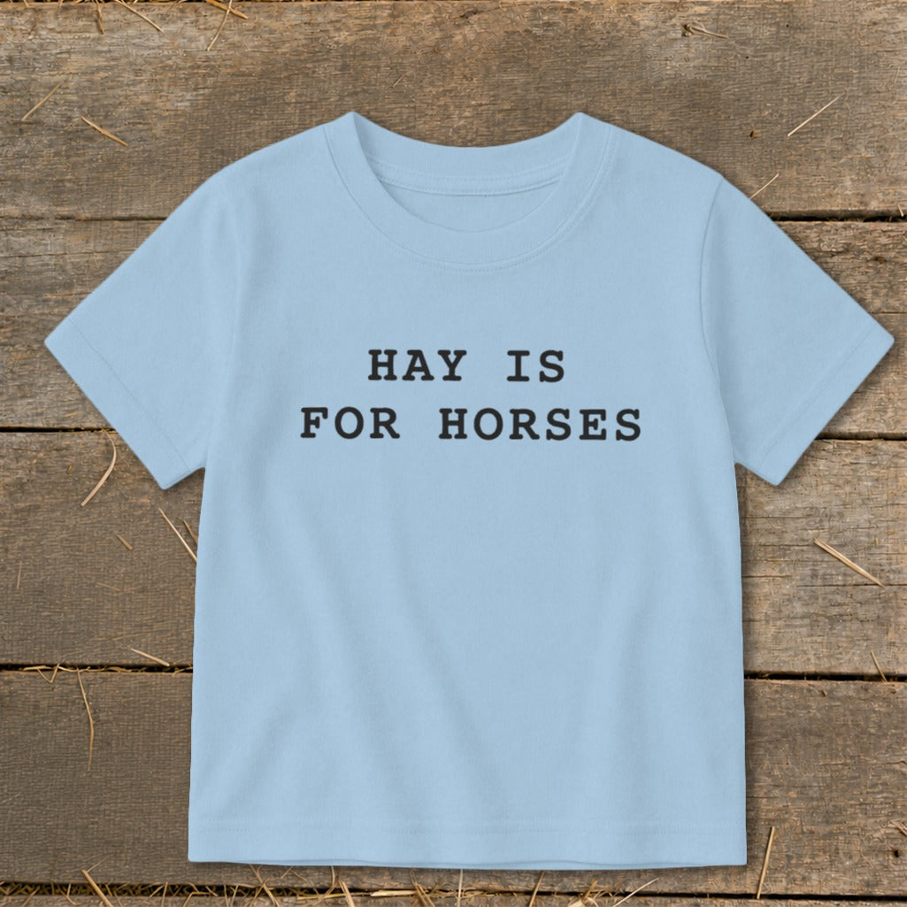 Light blue t-shirt with black text "HAY IS FOR HORSES"