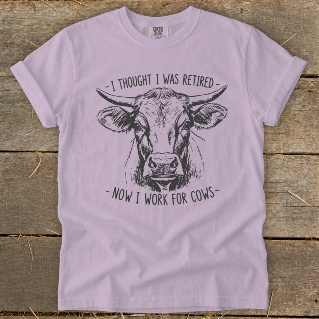 Purple t-shirt with sketch of a cow's head and text "I thought I was retired - now I work for cows".