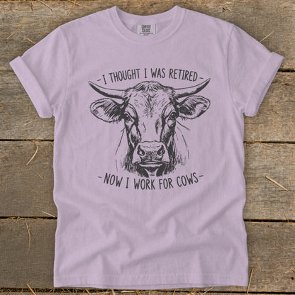 Purple t-shirt with sketch of a cow's head and text "I thought I was retired - now I work for cows".