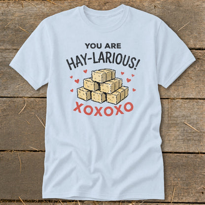 Light blue t-shirt with text "YOU ARE HAY-LARIOUS!" and XOXOXO graphic.