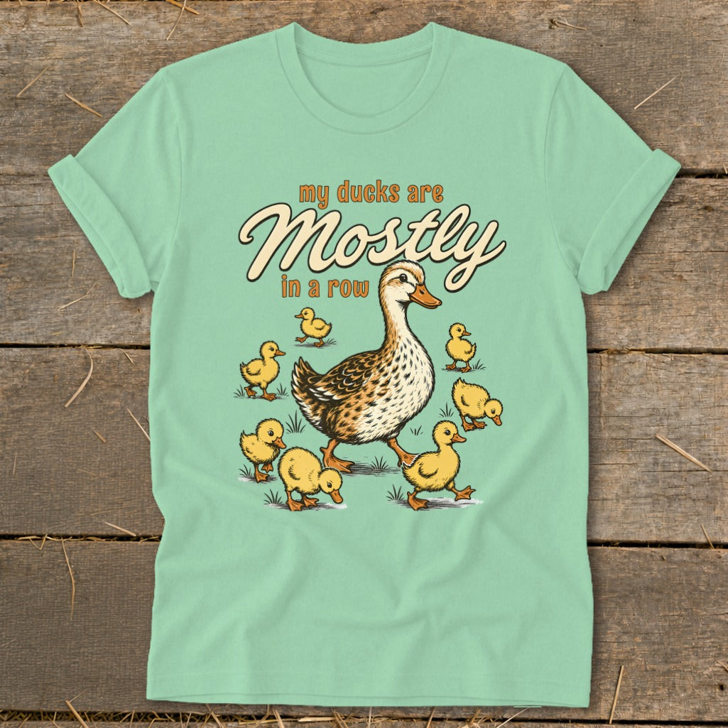 Mint t-shirt with illustration of mother duck and ducklings, text "my ducks are Mostly in a row".