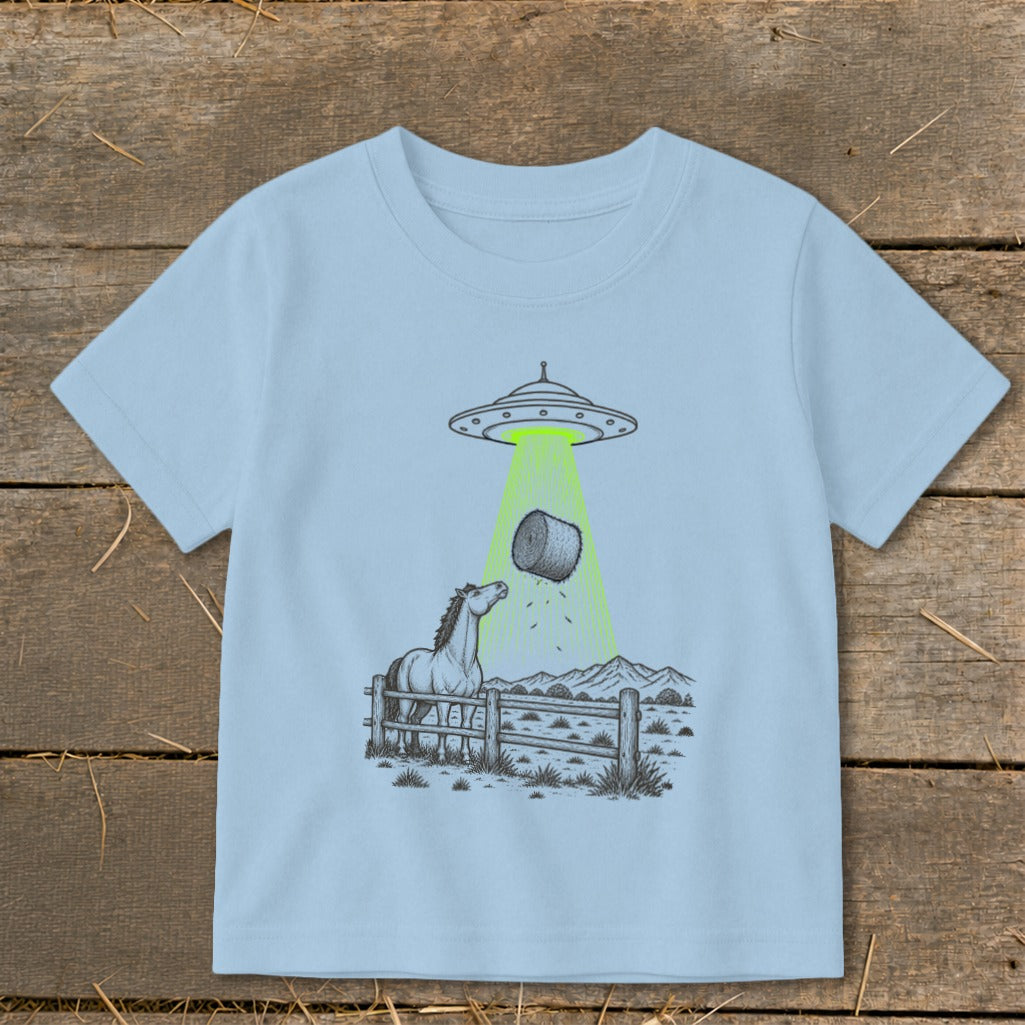 Horse watches UFO beam up a hay bale from a fenced pasture.