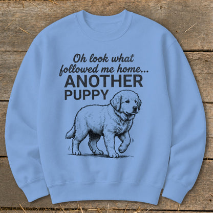 Light blue sweatshirt with "Oh look what followed me home... ANOTHER PUPPY" text and a puppy illustration.