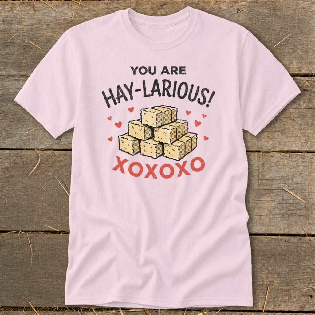 Pink t-shirt with "You are Hay-larious!" text and stacked hay bales.