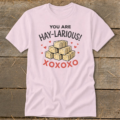 Pink t-shirt with "You are Hay-larious!" text and stacked hay bales.