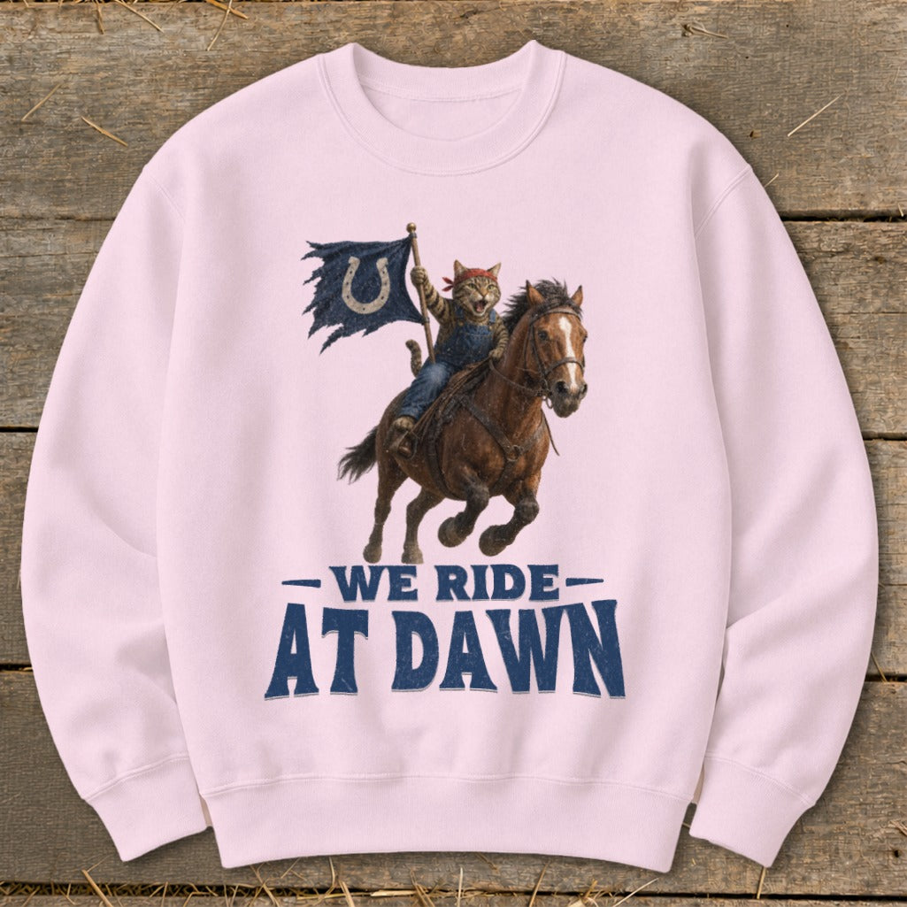 Cat wearing bandana riding horse holding tattered flag with horseshoe, text "WE RIDE AT DAWN".