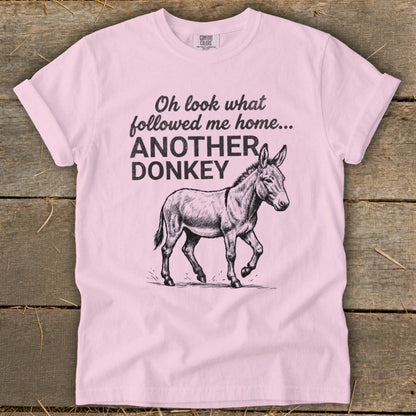 Pink t-shirt with sketch of donkey and text "Oh look what followed me home... ANOTHER DONKEY".