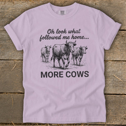 Lilac t-shirt with black graphic of three cows and text "Oh look what followed me home... MORE COWS".