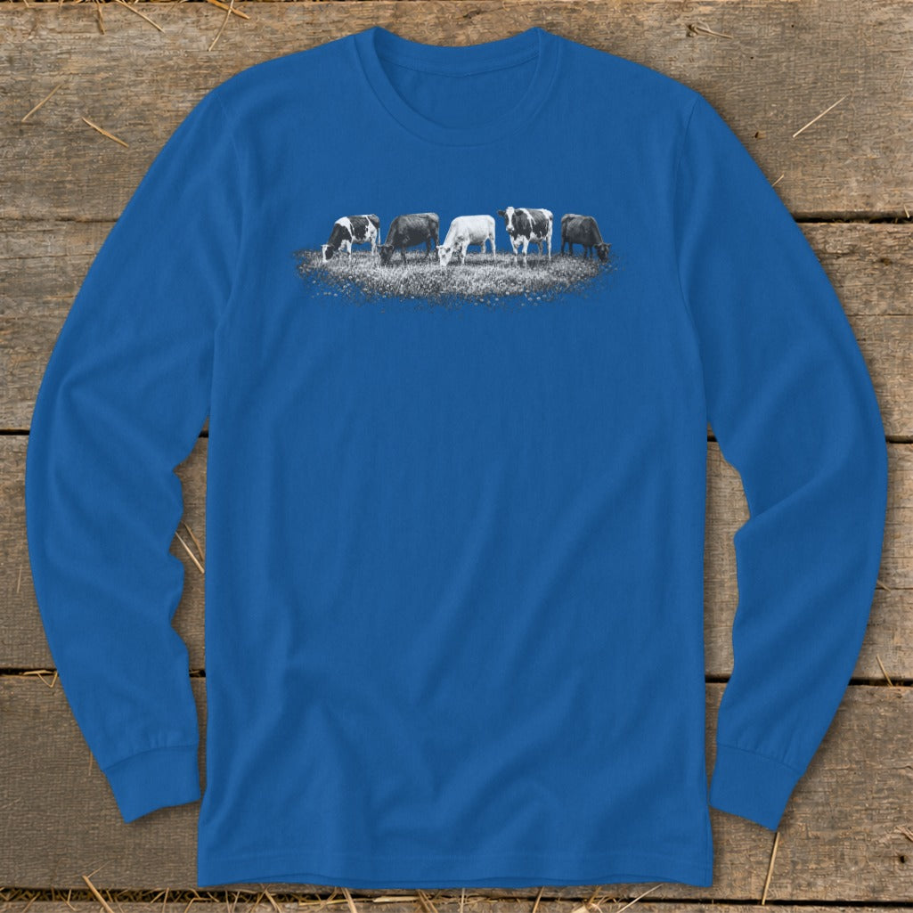 Line of five cows grazing in a field on a blue long-sleeve shirt.