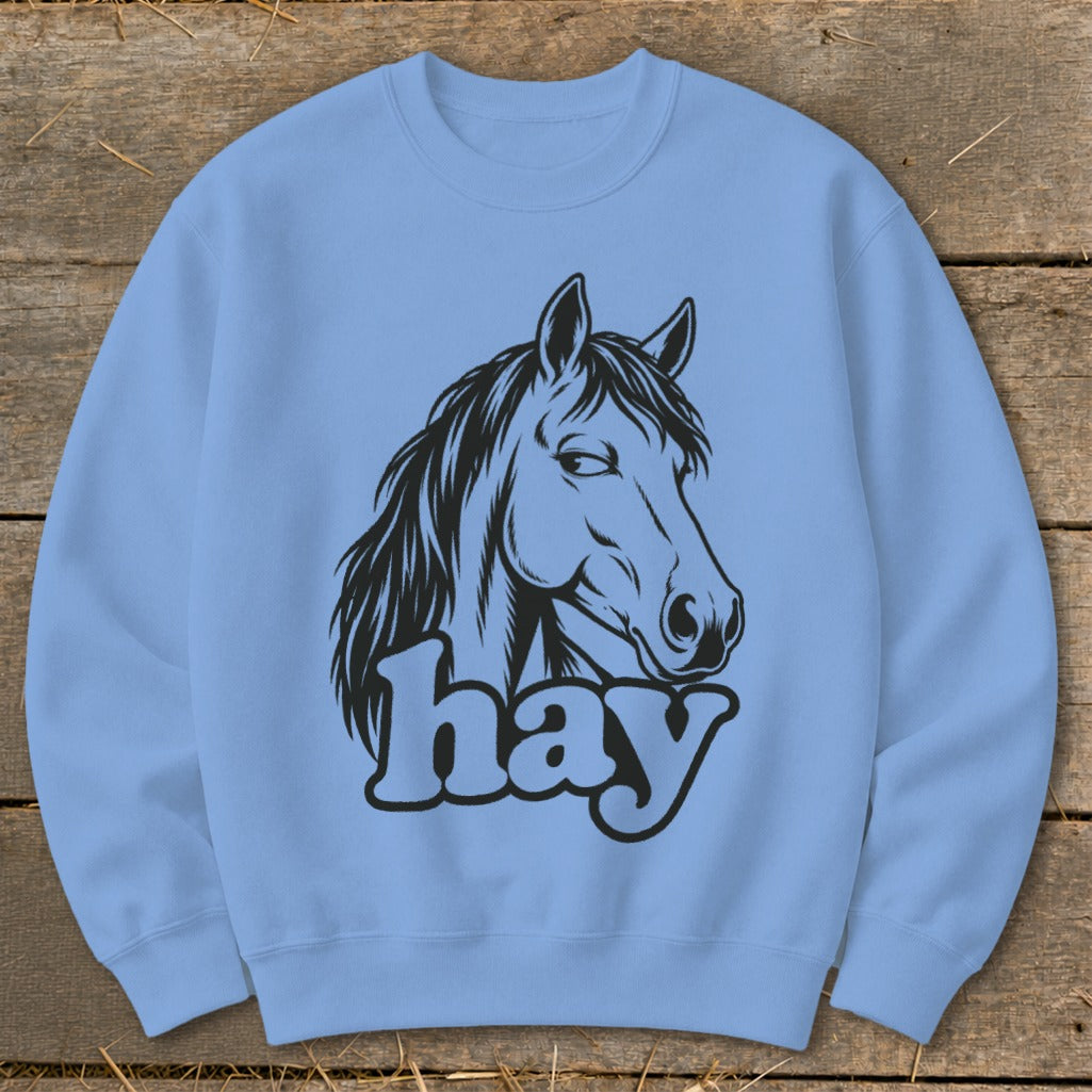 Light blue sweatshirt with a black horse head and the word "hay".