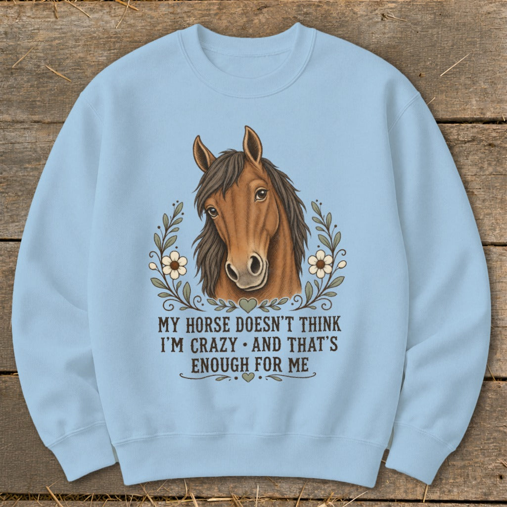 Light blue sweatshirt with a horse illustration and text "MY HORSE DOESN'T THINK I'M CRAZY".