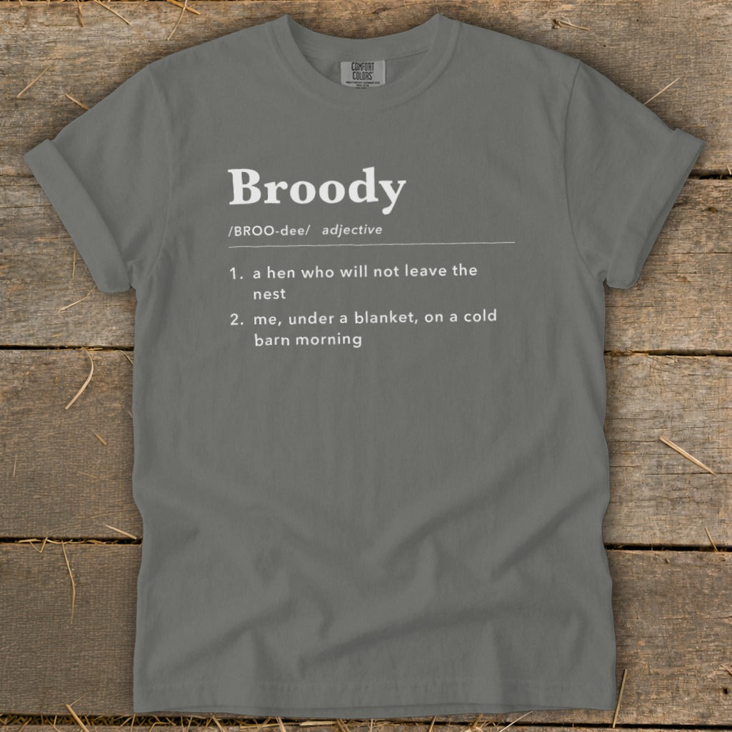 Grey t-shirt with "Broody" definition: 1. hen who won't leave nest, 2. me under a blanket.