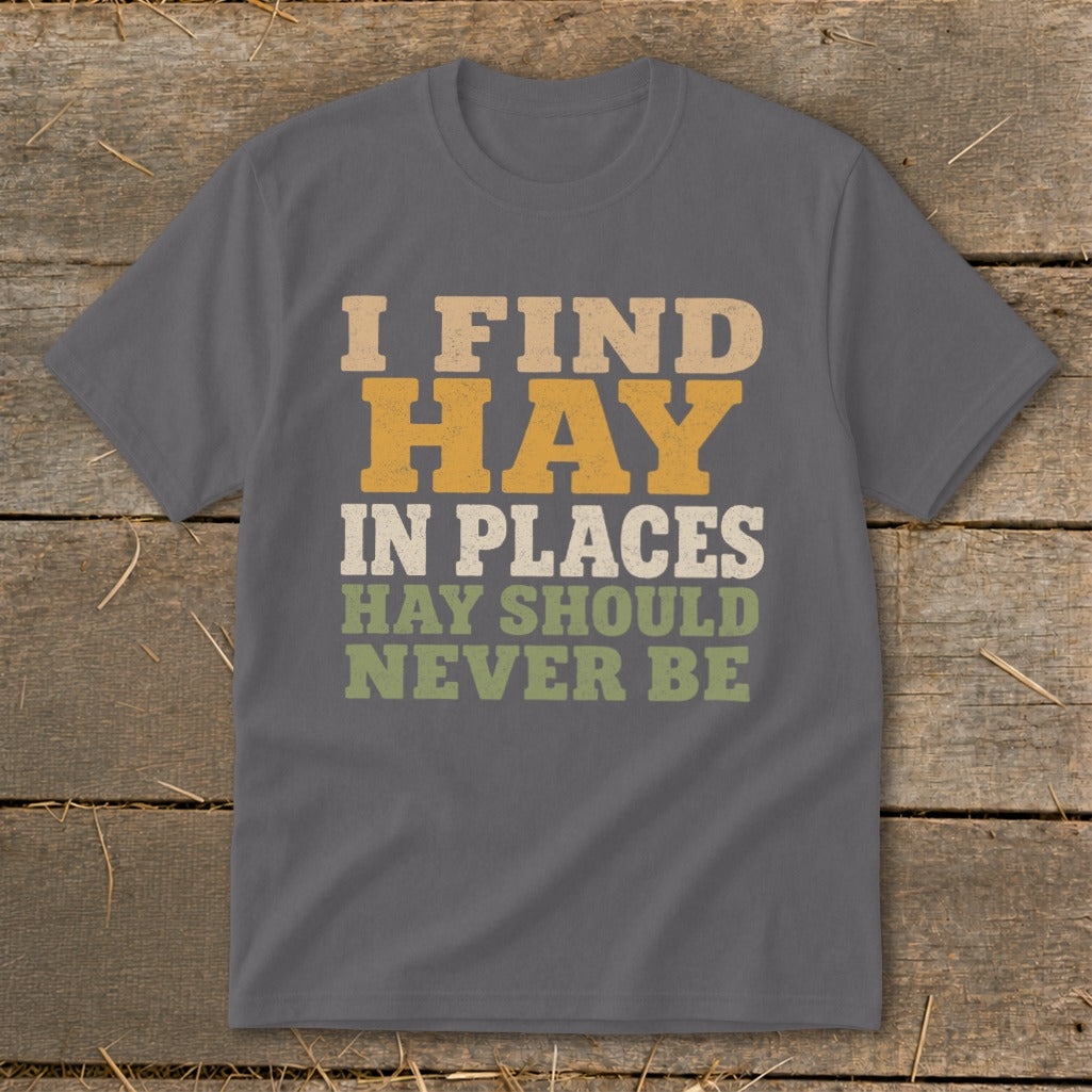Gray t-shirt with text "I FIND HAY IN PLACES HAY SHOULD NEVER BE".