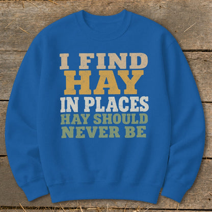 Blue sweatshirt with text: "I FIND HAY IN PLACES HAY SHOULD NEVER BE".