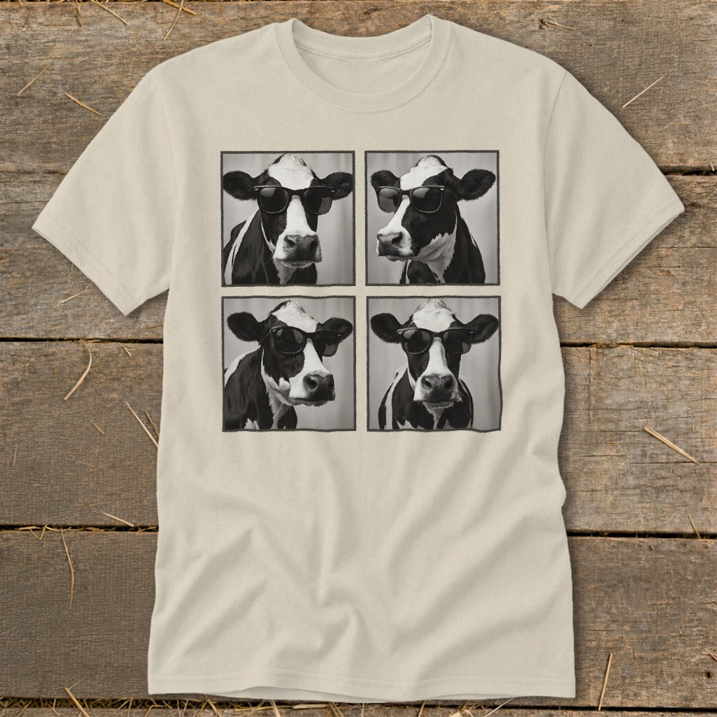 Four black and white portraits of cows wearing sunglasses arranged in a grid.