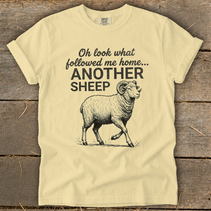 Cream t-shirt with a sheep illustration and text "Oh look what followed me home... ANOTHER SHEEP".