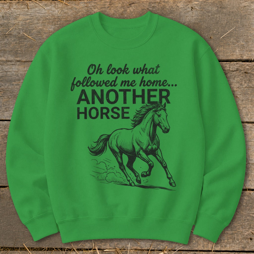 Green sweatshirt with black text "Oh look what followed me home... ANOTHER HORSE" and a running horse graphic.