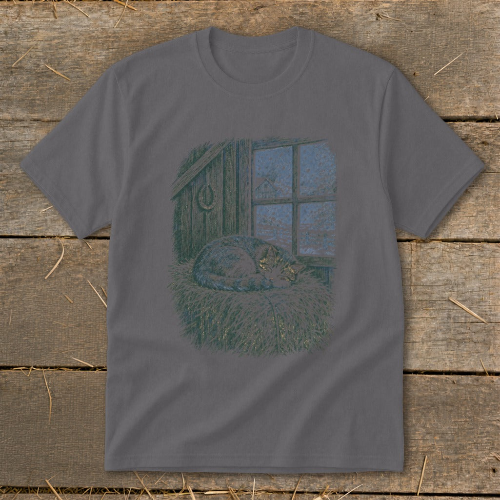 Cat sleeping on hay in front of a window with snow outside.