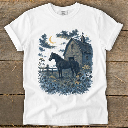 Illustration of black horse in field with barn, moon, and stars.