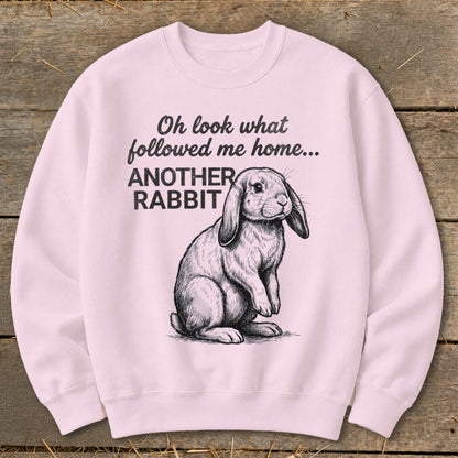 Pink sweatshirt with a sketch of a lop-eared rabbit and text reading "Oh look what followed me home... ANOTHER RABBIT".