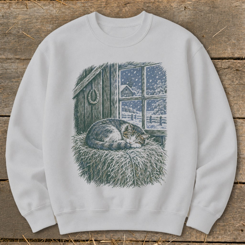 White sweatshirt with a sleeping tabby cat on hay, looking out a snowy window.