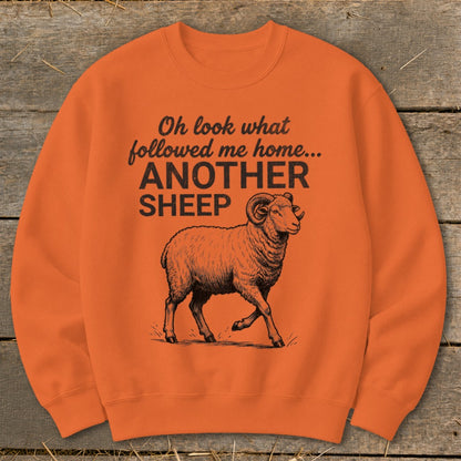 Orange sweatshirt with text "Oh look what followed me home... ANOTHER SHEEP" and a sheep illustration.