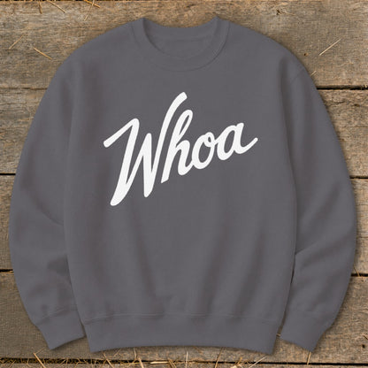 Grey sweatshirt with white "Whoa" script text on a wooden background.