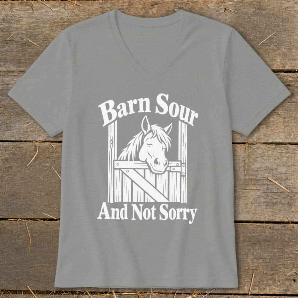 Barn Sour V-neck