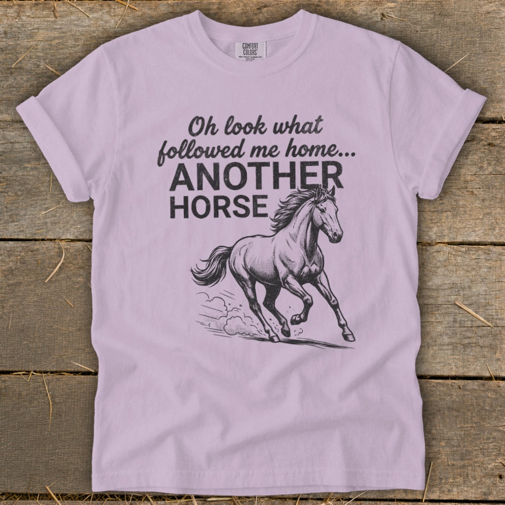 Light purple t-shirt with "Oh look what followed me home... ANOTHER HORSE" and a running horse.
