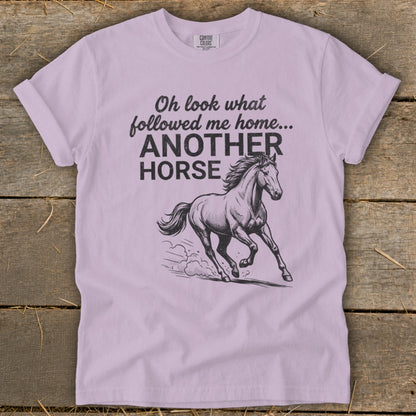 Light purple t-shirt with "Oh look what followed me home... ANOTHER HORSE" and a running horse.