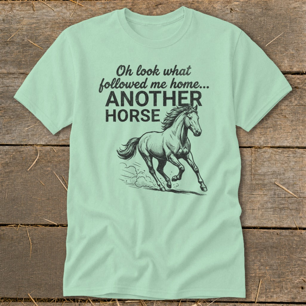 Light green t-shirt with "Oh look what followed me home... ANOTHER HORSE" and horse graphic.