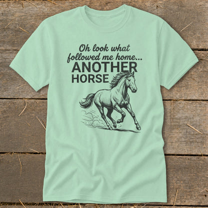 Light green t-shirt with "Oh look what followed me home... ANOTHER HORSE" and horse graphic.