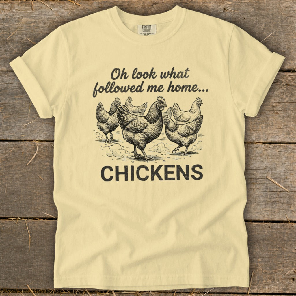 Light yellow t-shirt with "Oh look what followed me home..." and chickens graphic.