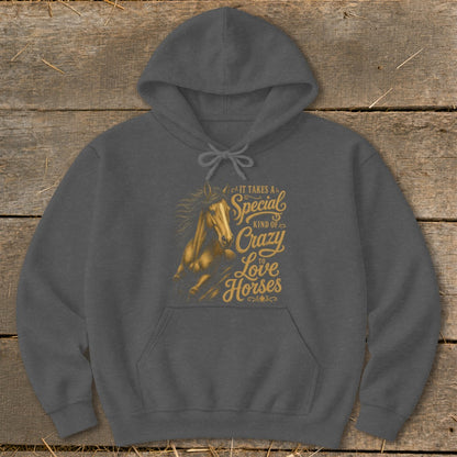 Dark grey hoodie with "It Takes a Special Kind of Crazy to Love Horses" text and horse graphic.