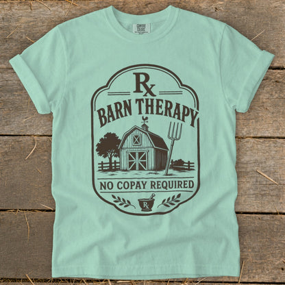 Light blue t-shirt with "Barn Therapy" design and "No Copay Required" text.