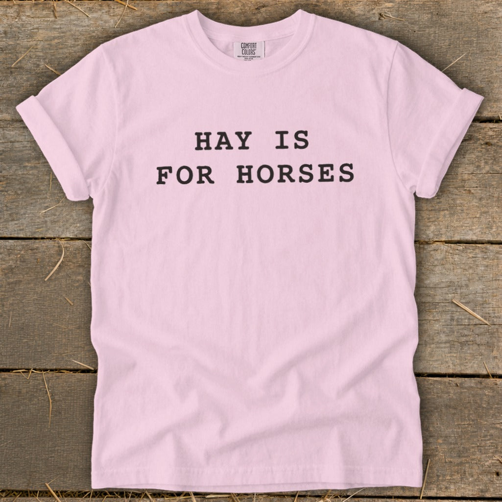 Pink t-shirt with black text reading "HAY IS FOR HORSES" and Comfort Colors label.
