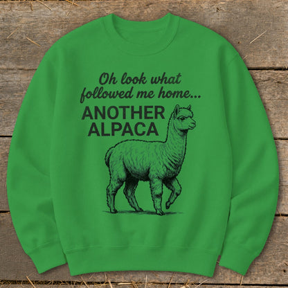 Green sweatshirt with black text "Oh look what followed me home... ANOTHER ALPACA" and alpaca illustration.