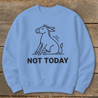 Light blue sweatshirt with black line drawing of a donkey and the text "NOT TODAY".