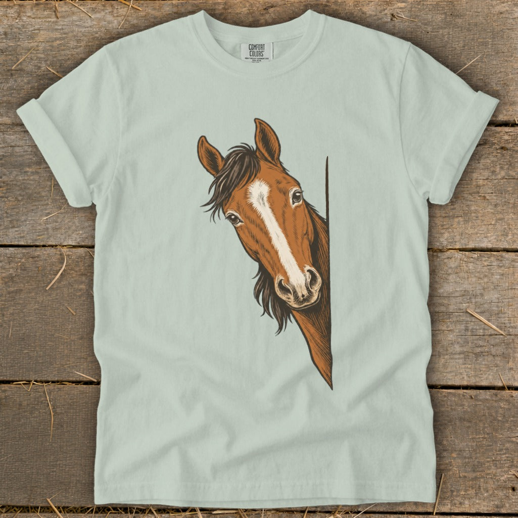 Brown horse peeking from behind a light blue t-shirt on a wooden background.