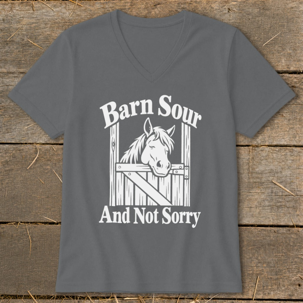 Barn Sour V-neck