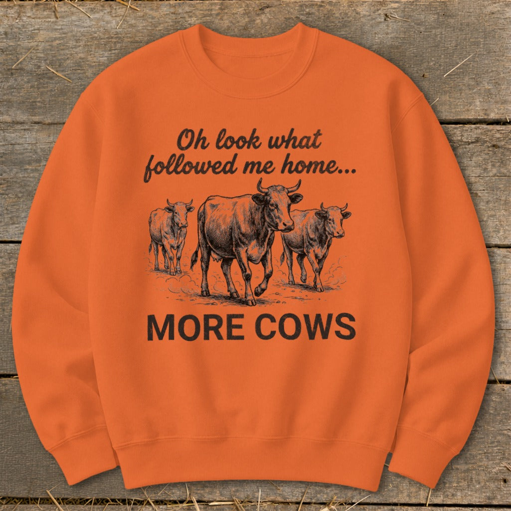 Orange sweatshirt with cows and text "Oh look what followed me home... MORE COWS".