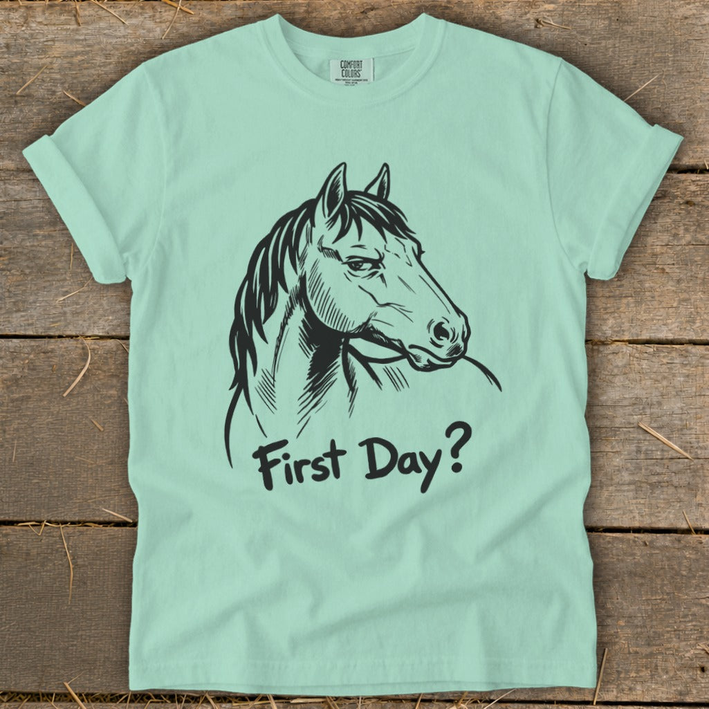 Mint green t-shirt with a black sketch of a horse and the text "First Day?".