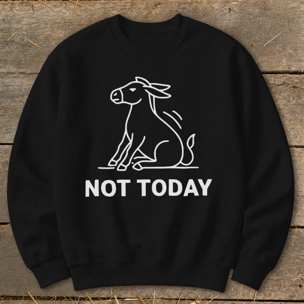 Black sweatshirt with white outline of a donkey and text "NOT TODAY".