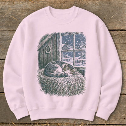 Cat sleeping on hay bale in barn window overlooking snowy farm scene.