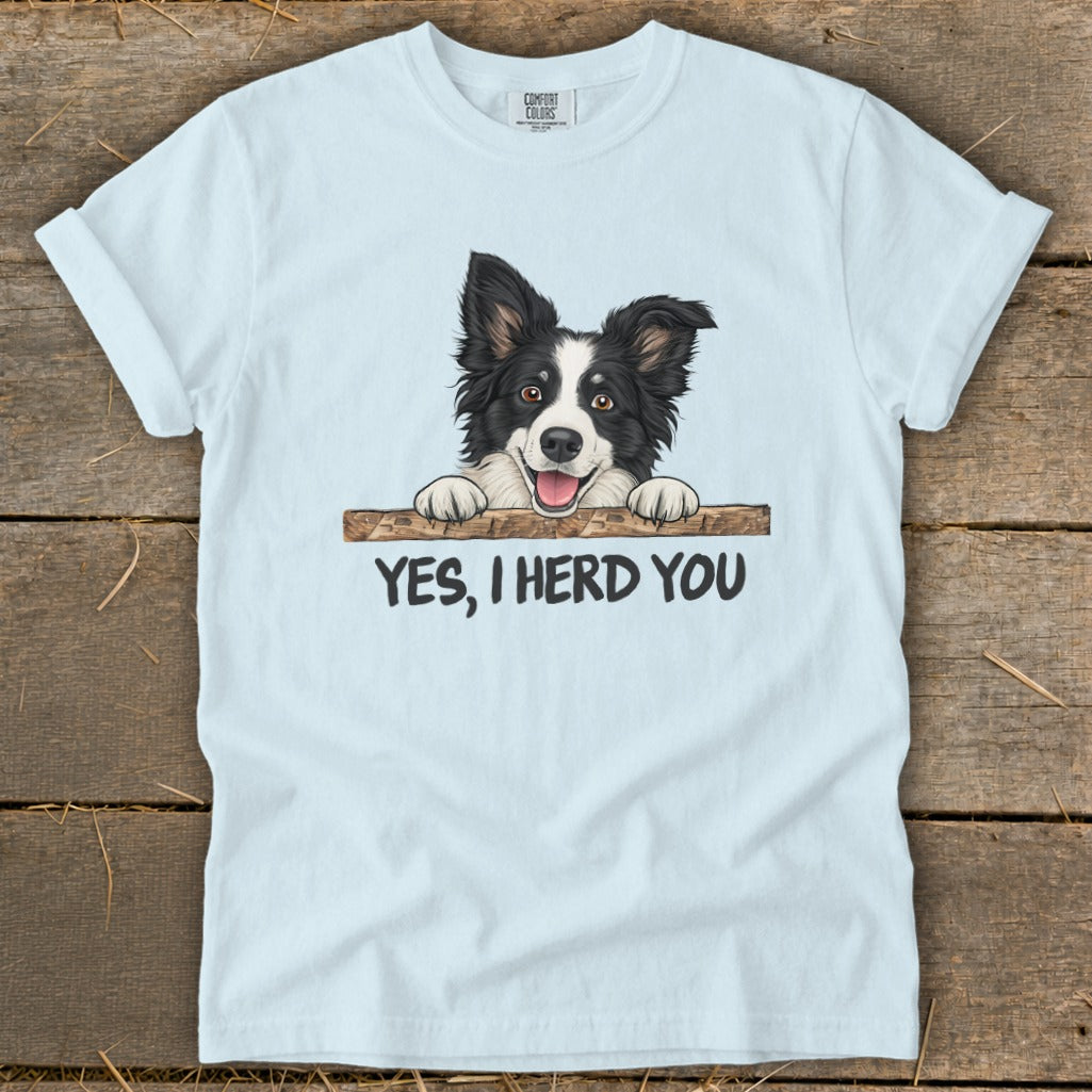 Light blue t-shirt with a Border Collie graphic and "YES, I HERD YOU" text.