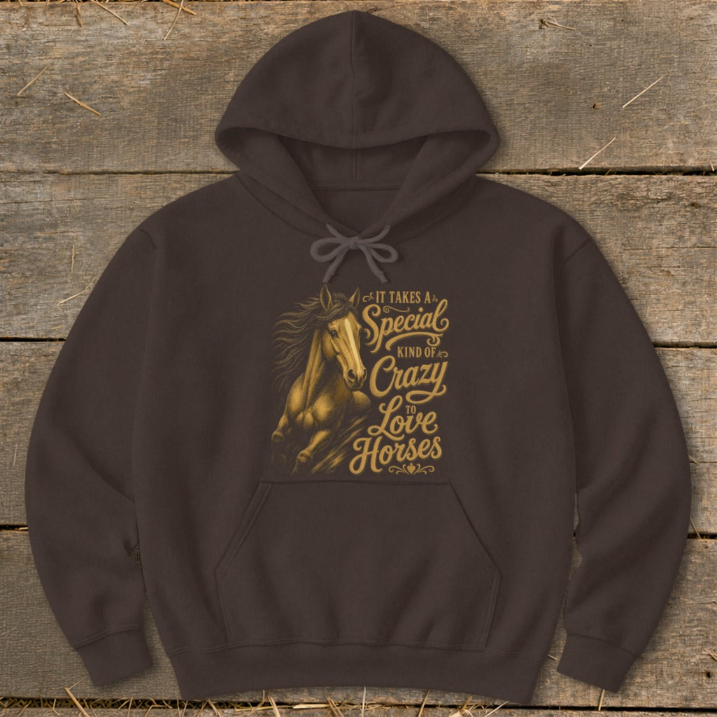 Brown hoodie with a golden graphic of a horse and text: "It takes a special kind of crazy to love horses."