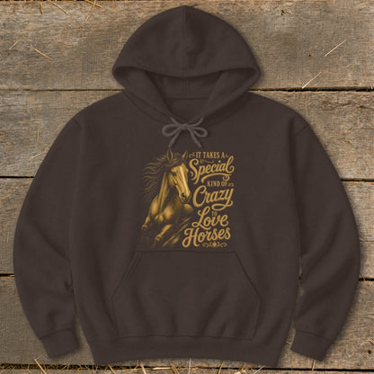 Brown hoodie with a golden graphic of a horse and text: "It takes a special kind of crazy to love horses."