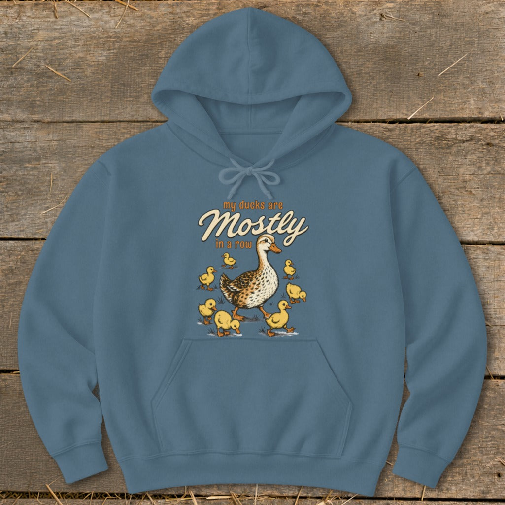 Blue hoodie with graphic of a mother duck and ducklings, and text "my ducks are Mostly in a row".